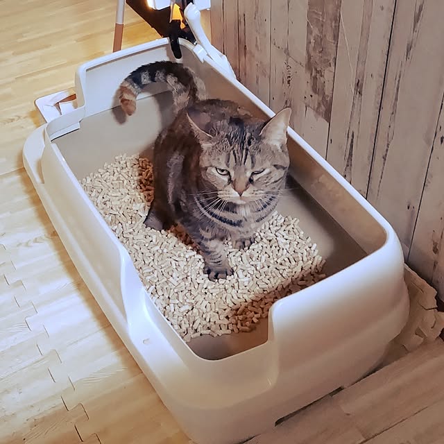 runaさんの部屋