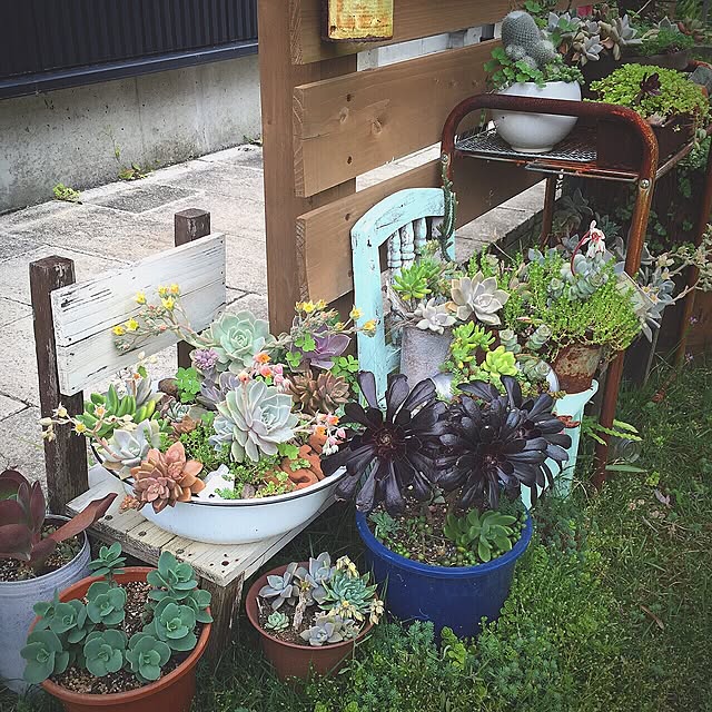 poti.mamaさんの実例写真