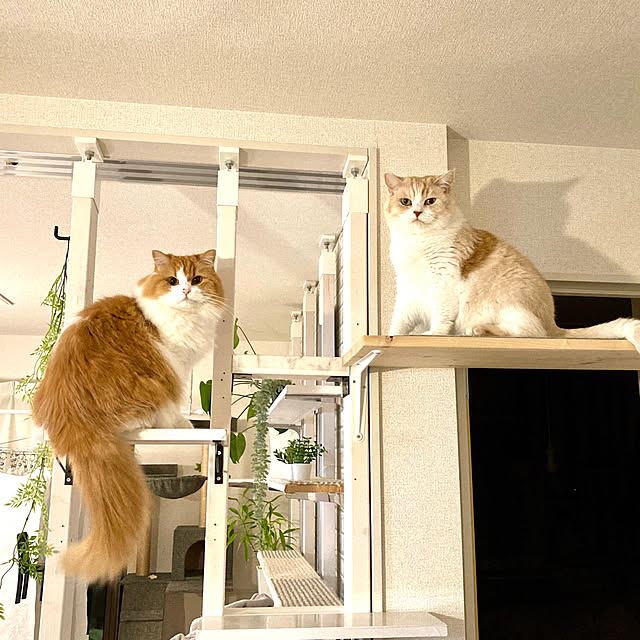 H.Tさんの実例写真