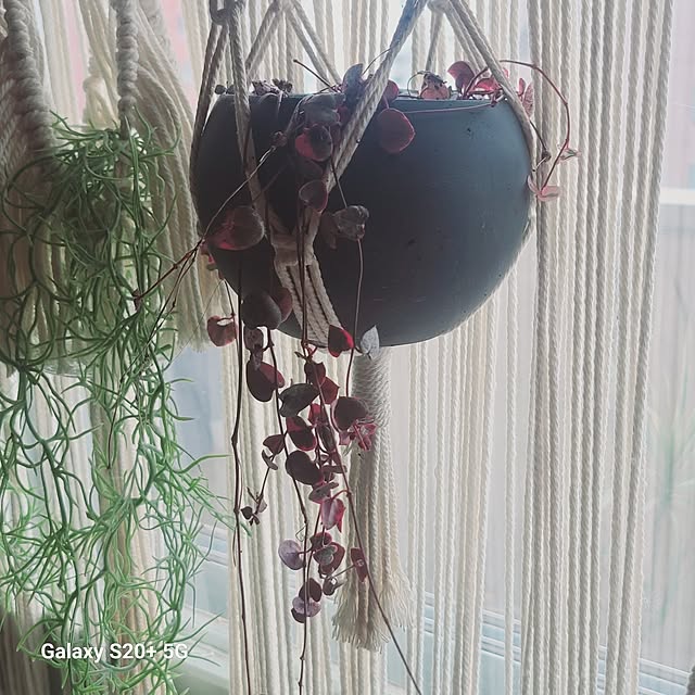 monnさんの部屋