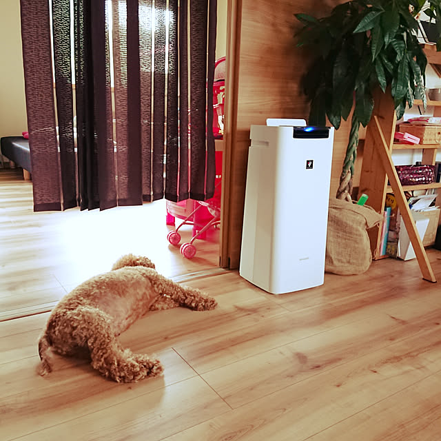 kotaroさんの実例写真