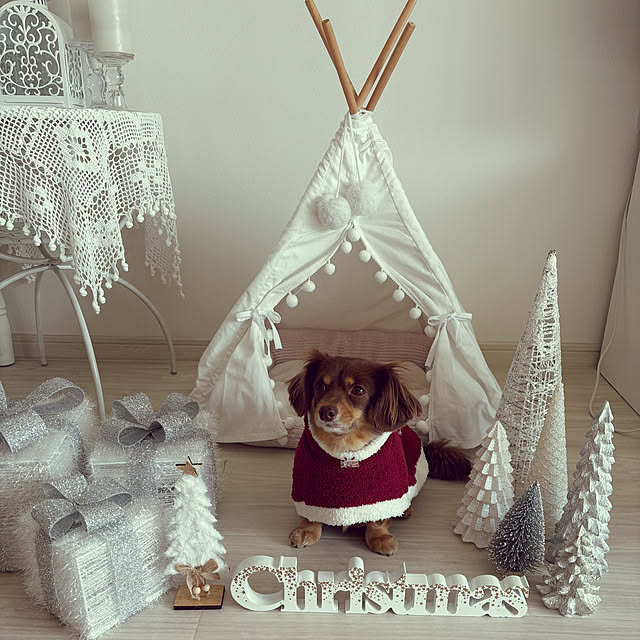 emiさんの実例写真