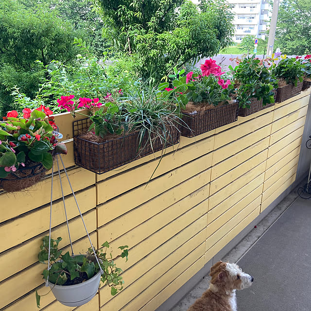 marukoさんの部屋