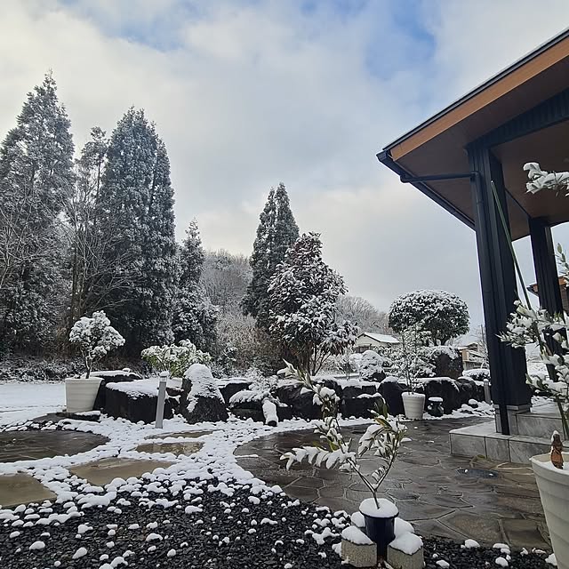 Rubiconさんの部屋