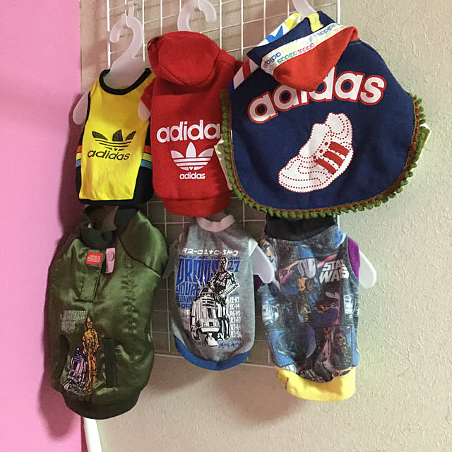 実例写真