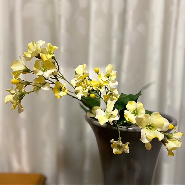 Kuniさんの実例写真
