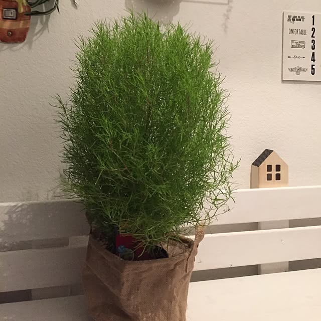 marmaru991さんの実例写真