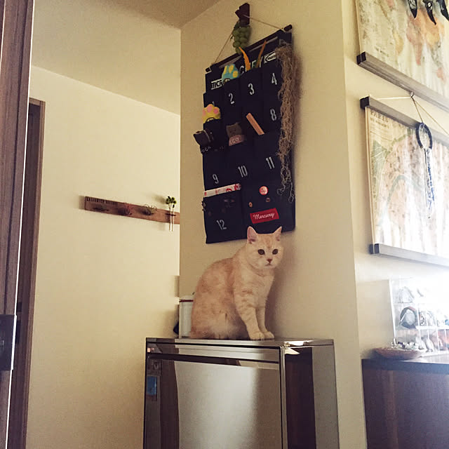y.k.0123さんの実例写真
