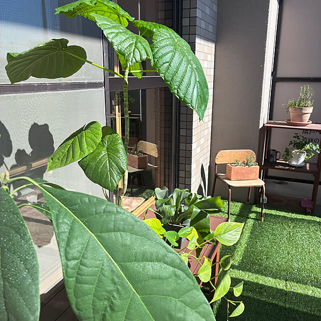 sakiさんの実例写真