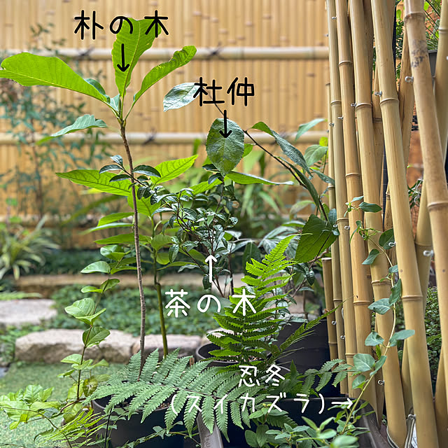 faunさんの部屋