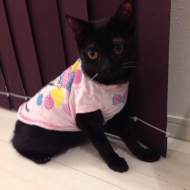 Chiakiさんの実例写真