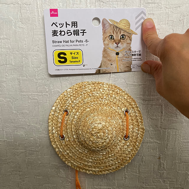 manduonmaさんの部屋