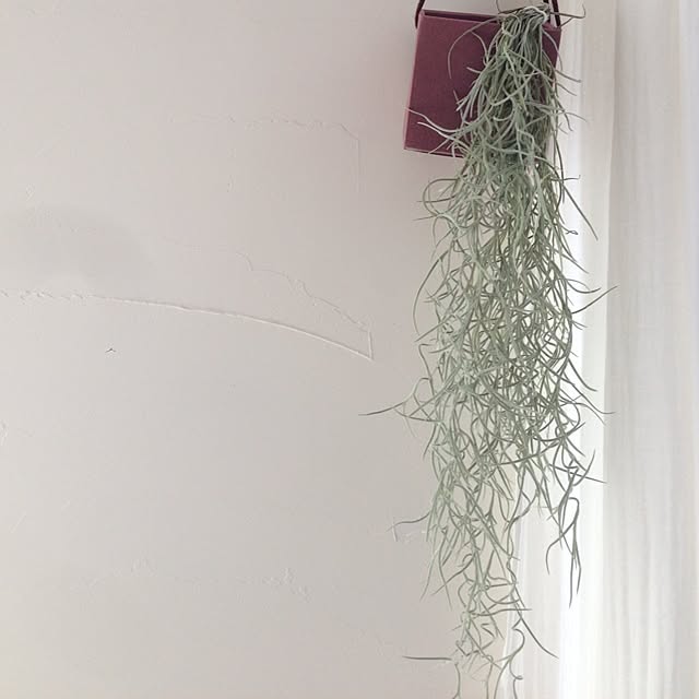 ASAKO.さんの実例写真