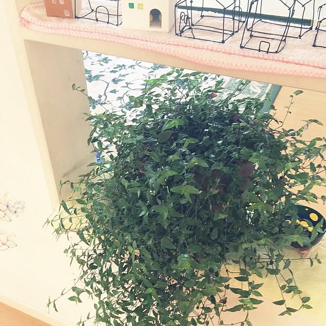 Setukoさんの実例写真