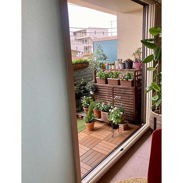 marukoさんの部屋