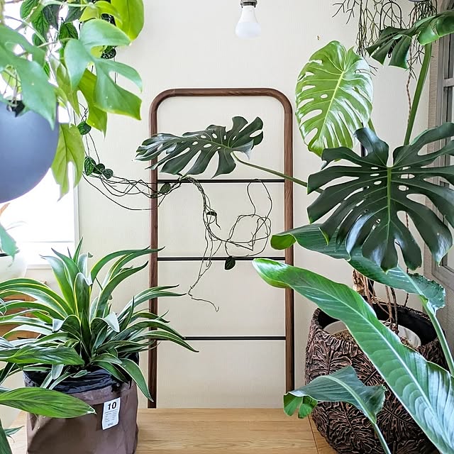 ayamameさんの部屋