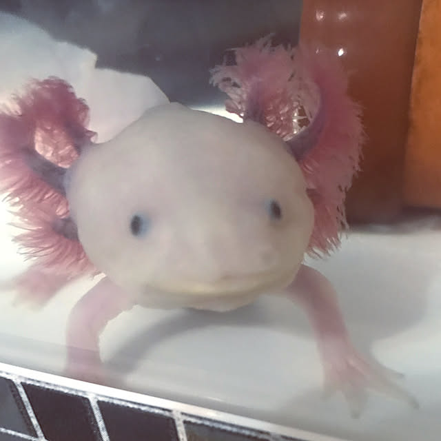 satatinさんの実例写真