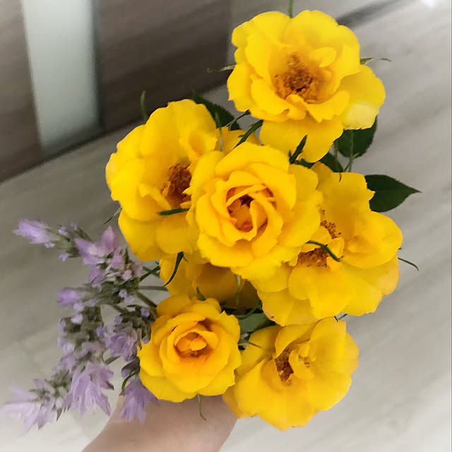 aym0418さんの実例写真