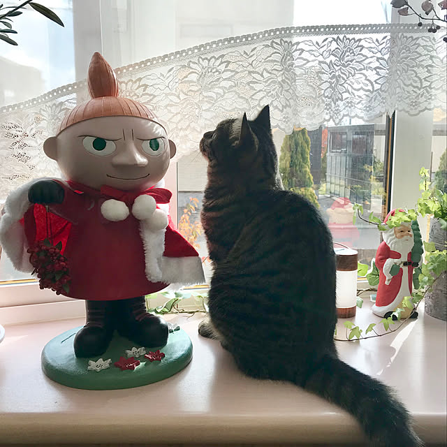 matsu.さんの実例写真