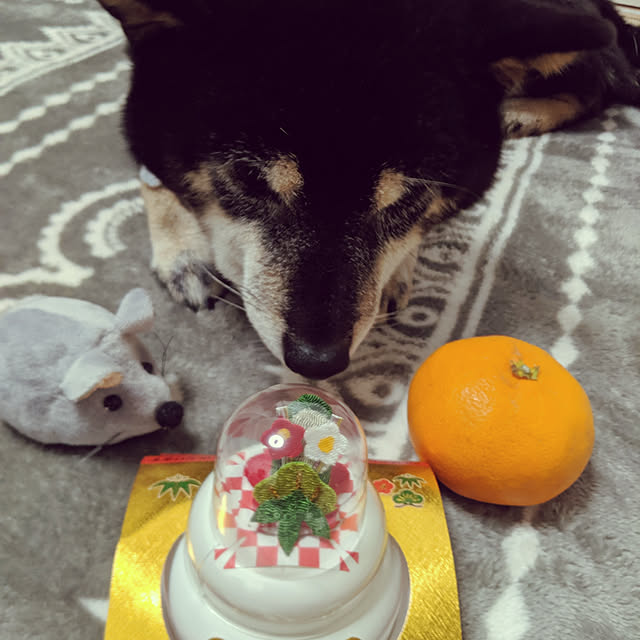 mimi6262さんの実例写真
