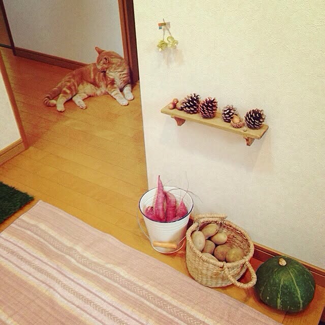 tomokohanaさんの実例写真