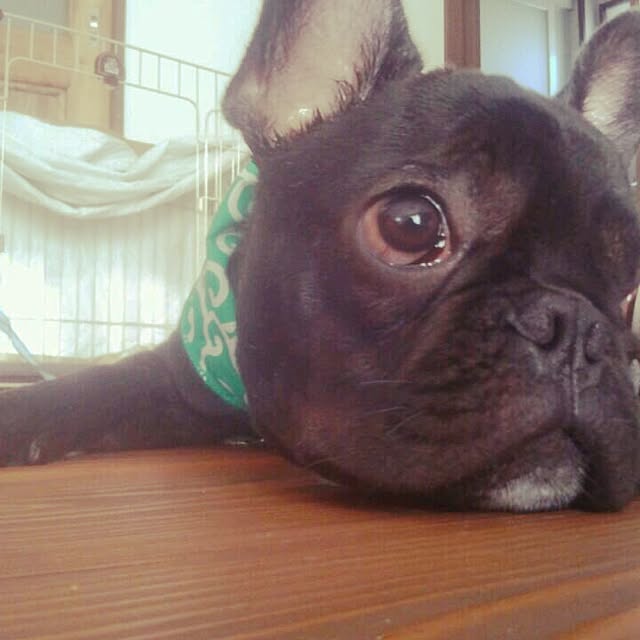 lamerさんの実例写真