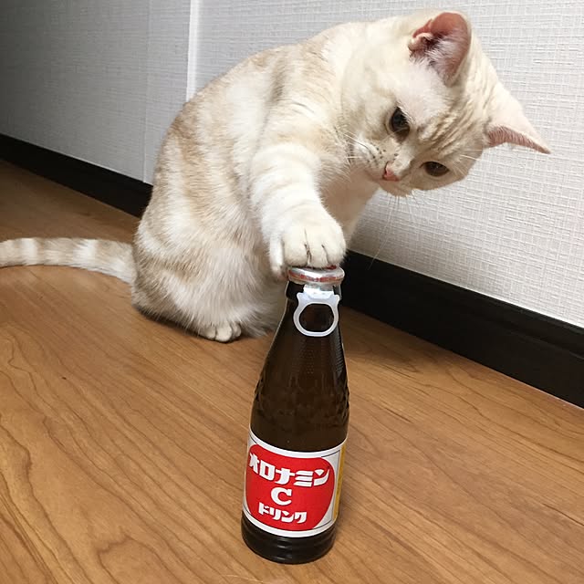 sirasu.nさんの実例写真