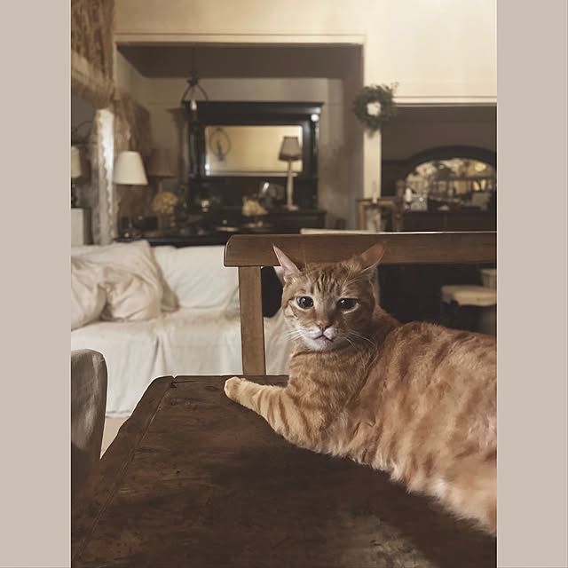ataさんの実例写真