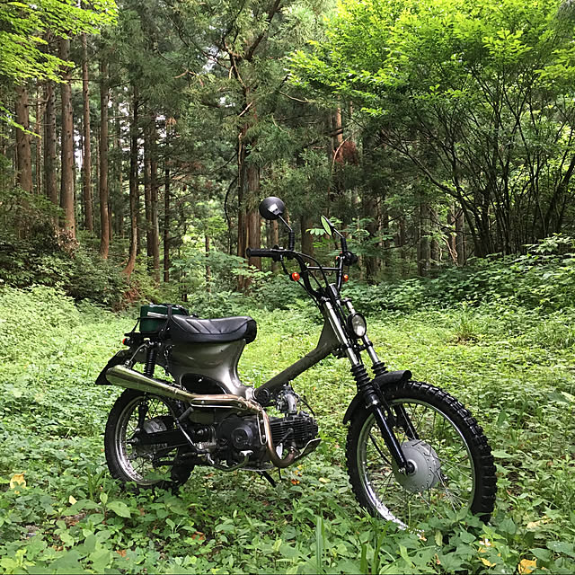 実例写真
