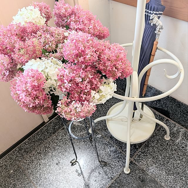 acocoさんの部屋