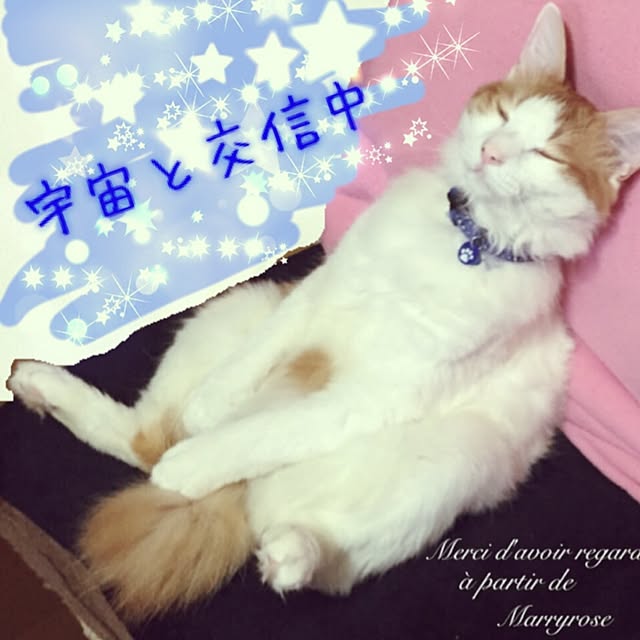 maria.rさんの実例写真