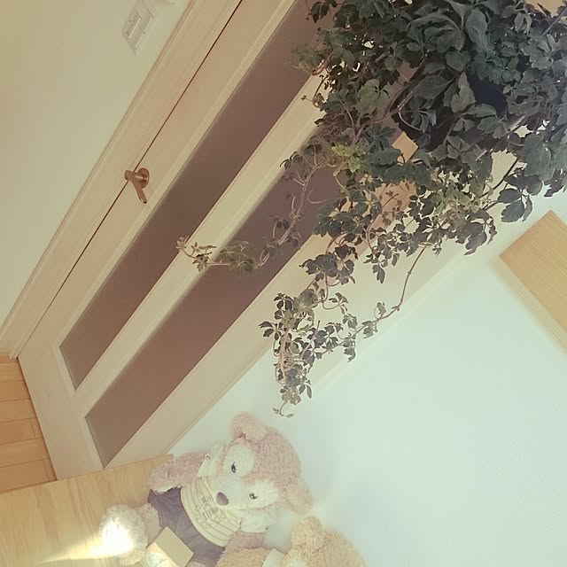 nao525さんの実例写真