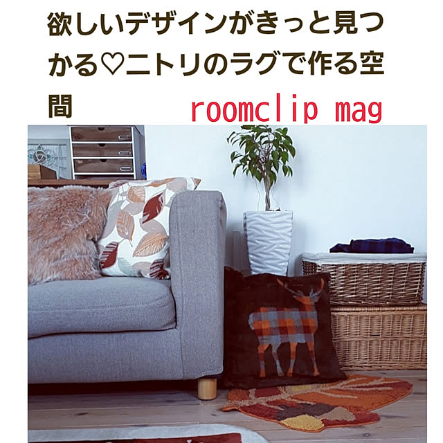 mayumiさんの実例写真