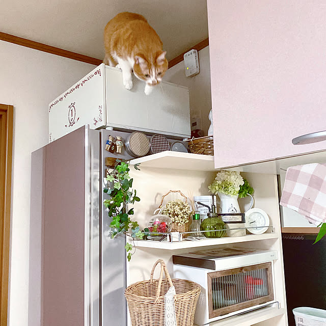 cocomaroさんの実例写真