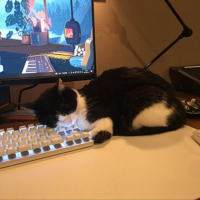 HNMBさんの実例写真