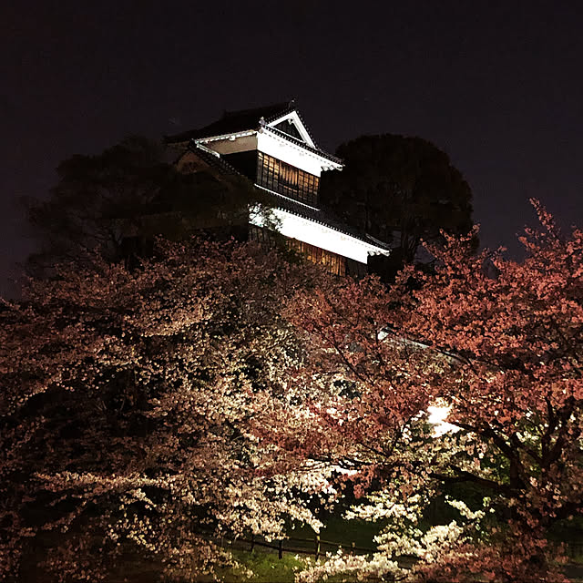 実例写真