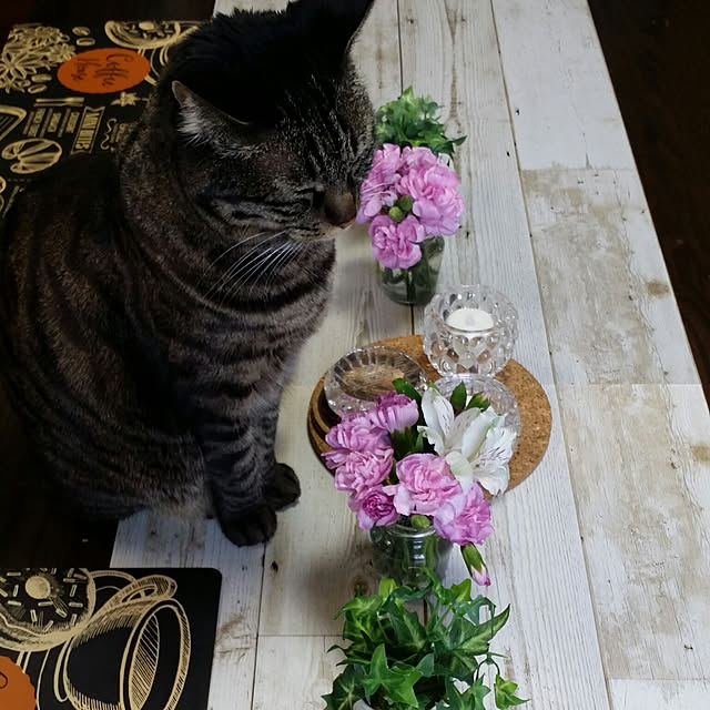 Mayumi8888さんの実例写真