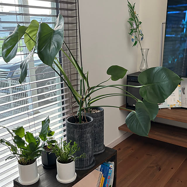 fk.kさんの部屋