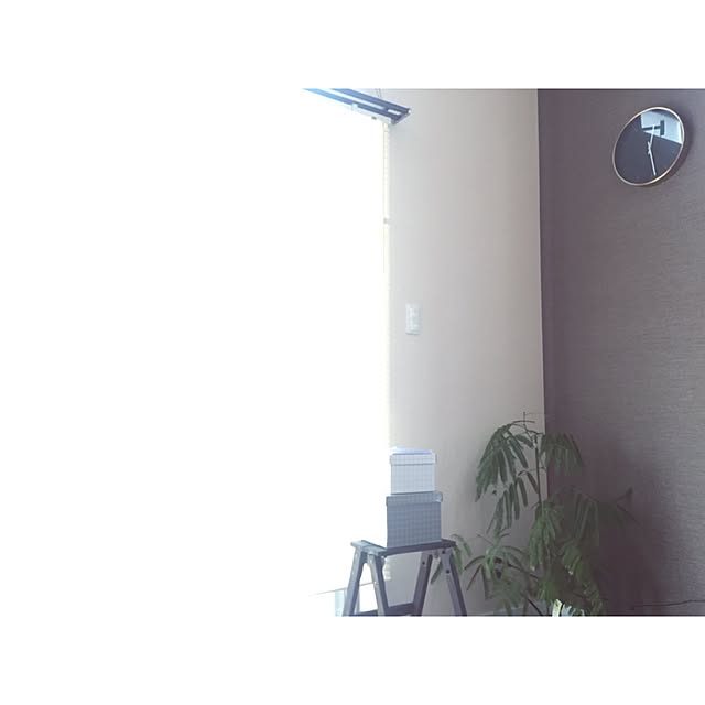 im.さんの実例写真