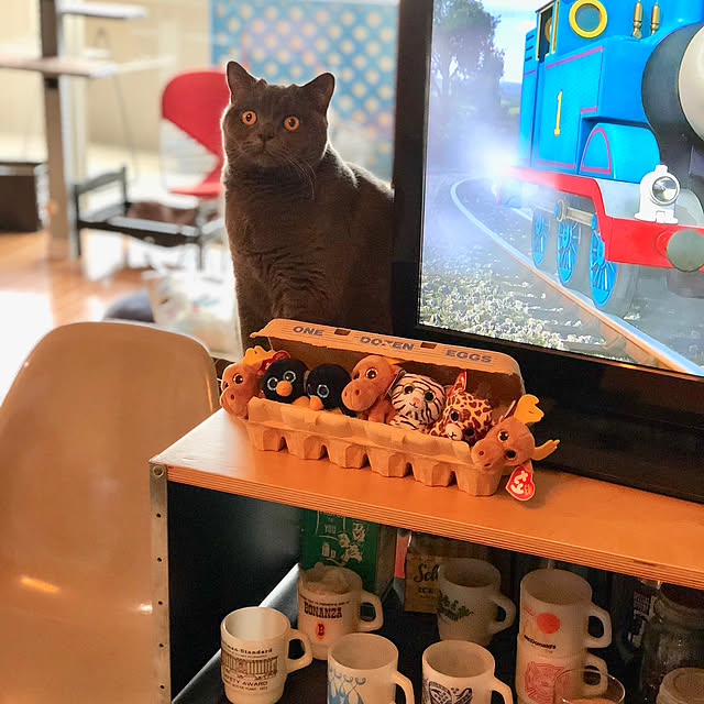 Shojiさんの実例写真