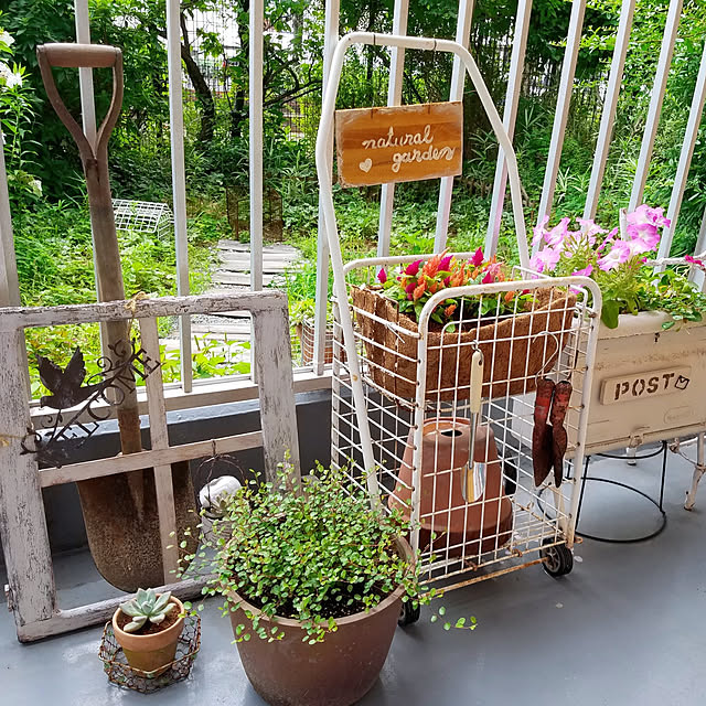 miccyoさんの実例写真