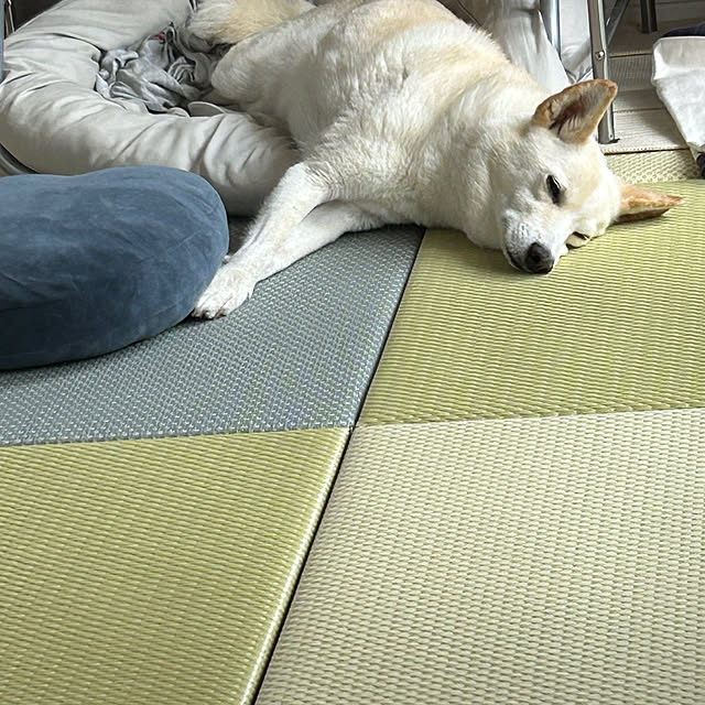 tanboさんの部屋