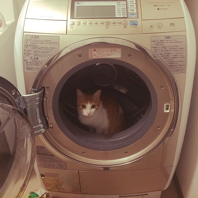 mofumofu292930さんの実例写真