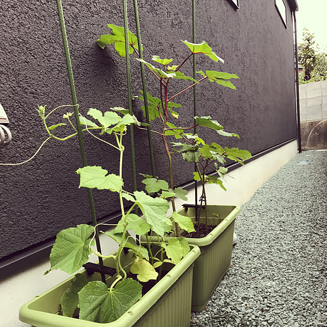 ttt0103さんの実例写真