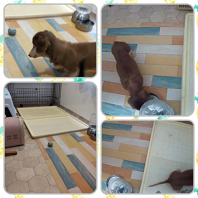 chocococoaさんの実例写真