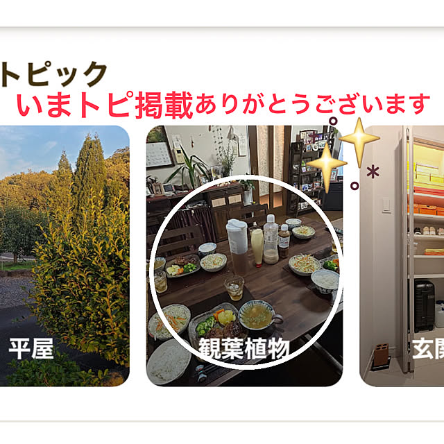 ritsukoさんの実例写真