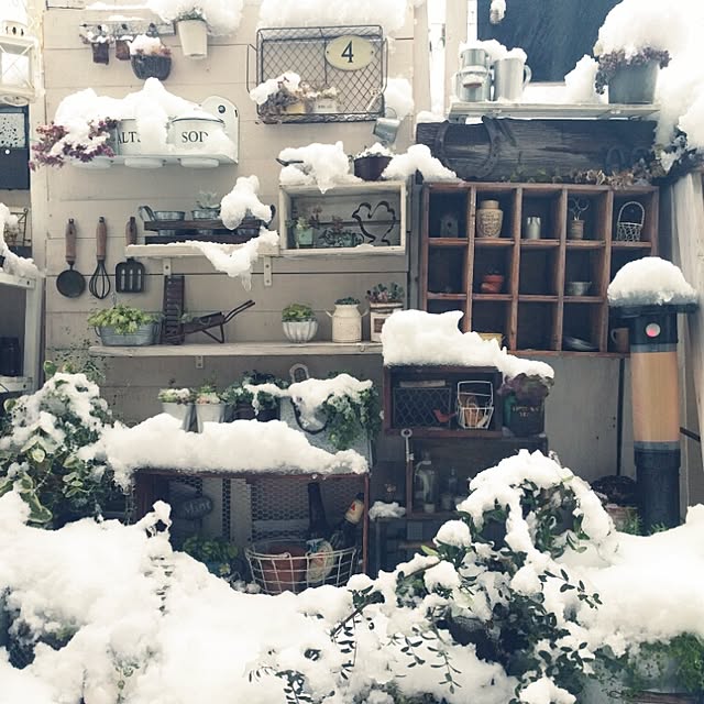 kokkomachaさんの実例写真
