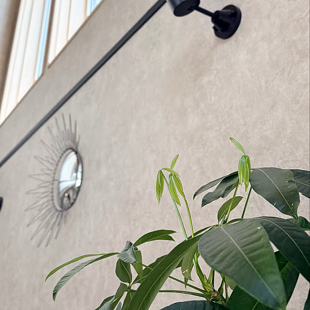 Rさんの実例写真