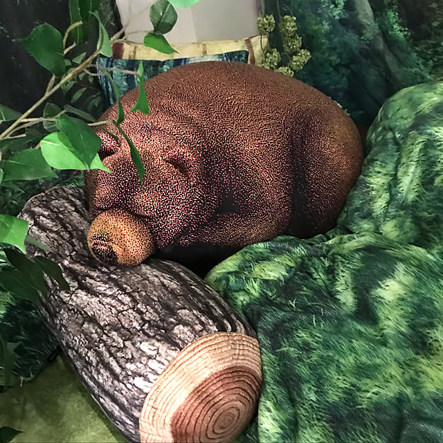 reiさんの実例写真