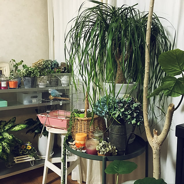 mayu0214さんの実例写真